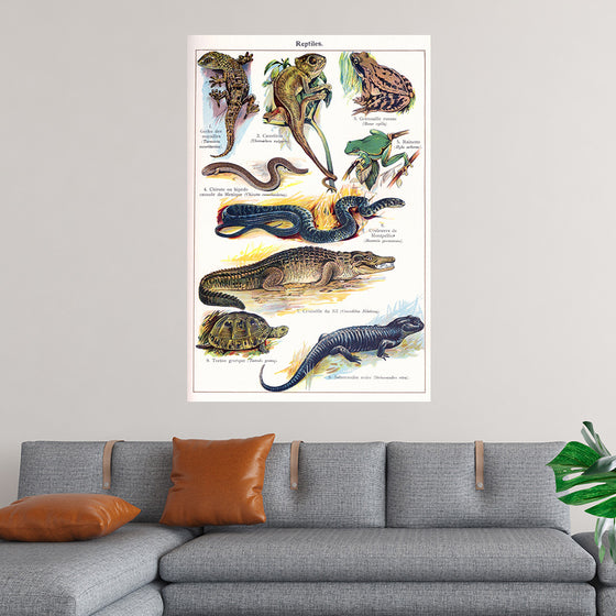 "Vintage Art of Reptiles"