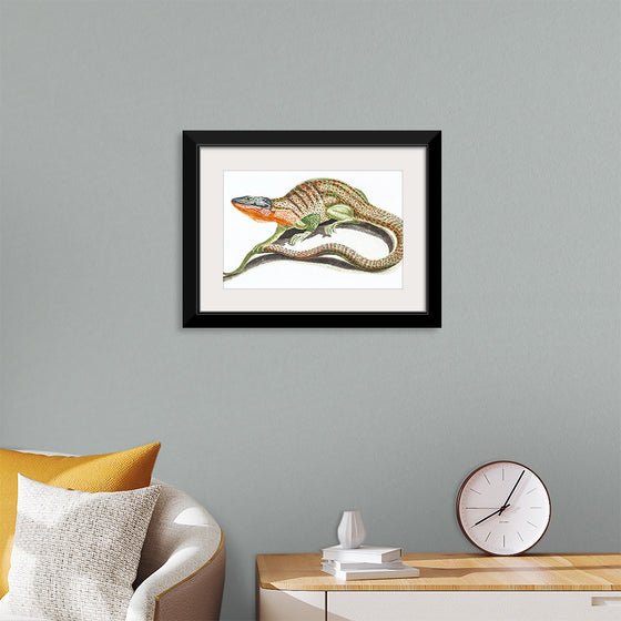 "Reptiles Vintage Art"