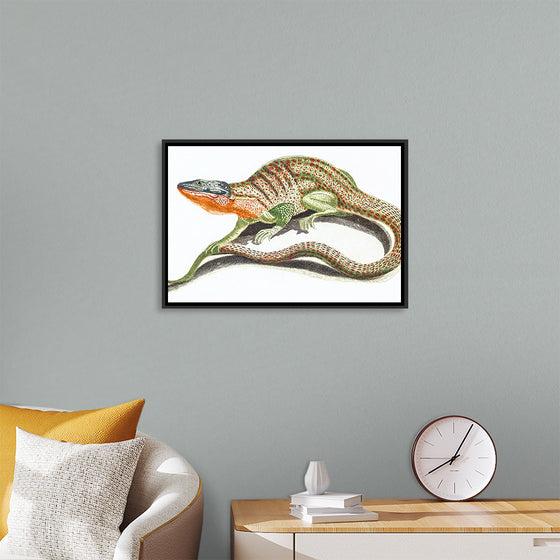 "Reptiles Vintage Art"