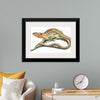 "Reptiles Vintage Art"