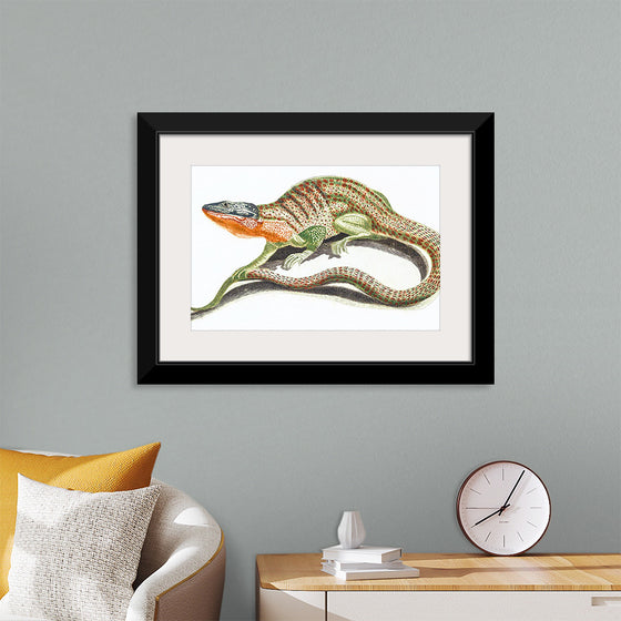 "Reptiles Vintage Art"