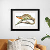 "Reptiles Vintage Art"