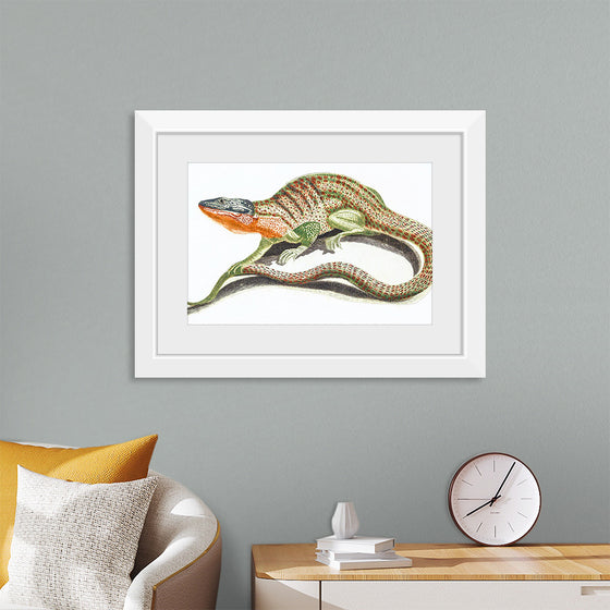 "Reptiles Vintage Art"