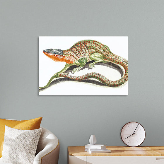 "Reptiles Vintage Art"