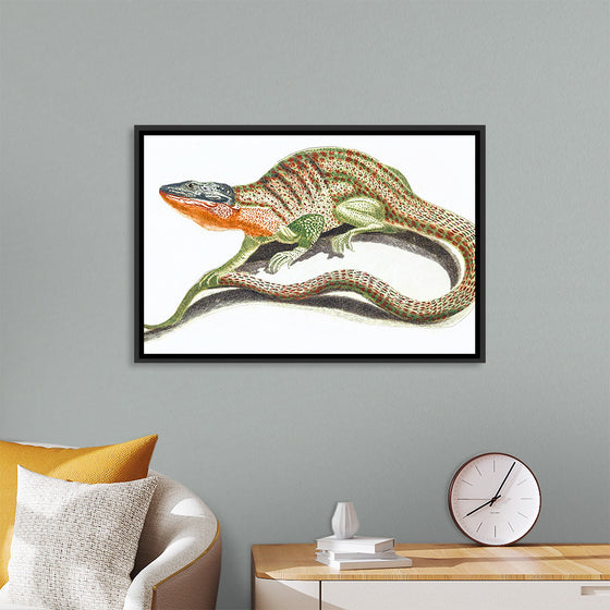 "Reptiles Vintage Art"