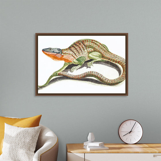 "Reptiles Vintage Art"