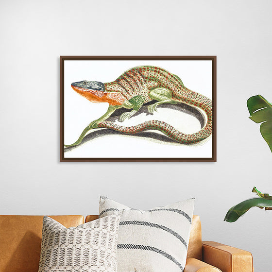 "Reptiles Vintage Art"