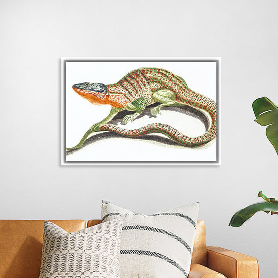 "Reptiles Vintage Art"