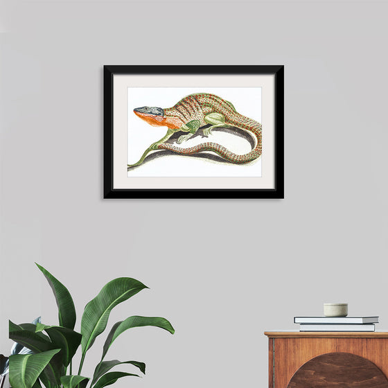 "Reptiles Vintage Art"