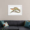 "Reptiles Vintage Art"