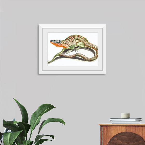 "Reptiles Vintage Art"