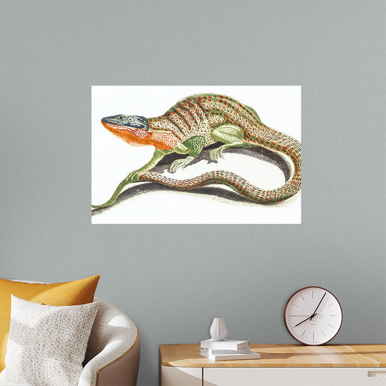 "Reptiles Vintage Art"