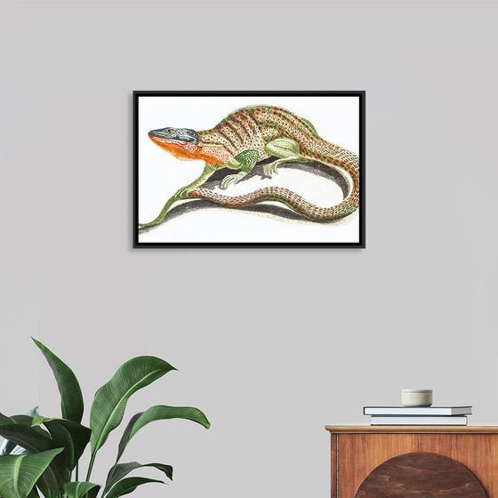 "Reptiles Vintage Art"