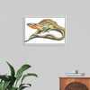 "Reptiles Vintage Art"