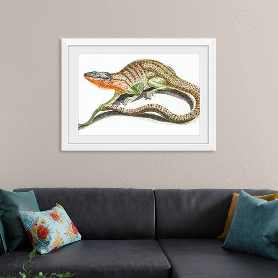 "Reptiles Vintage Art"