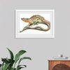 "Reptiles Vintage Art"