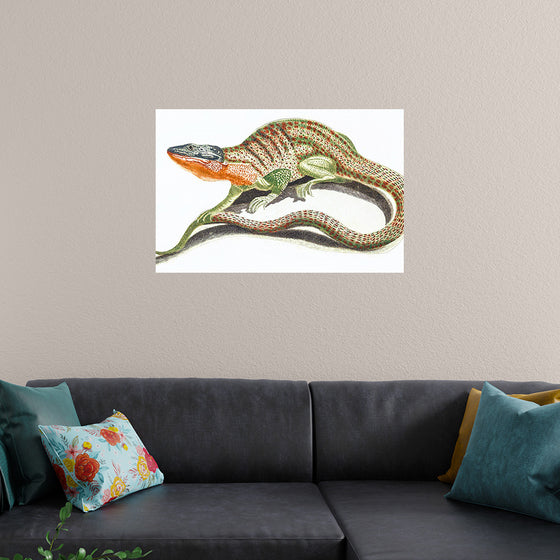 "Reptiles Vintage Art"