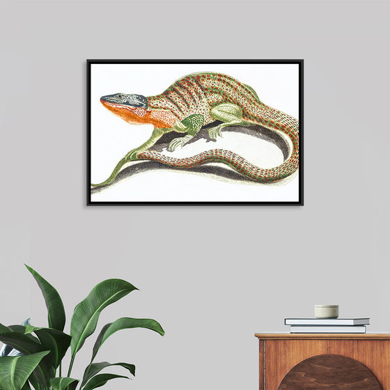 "Reptiles Vintage Art"