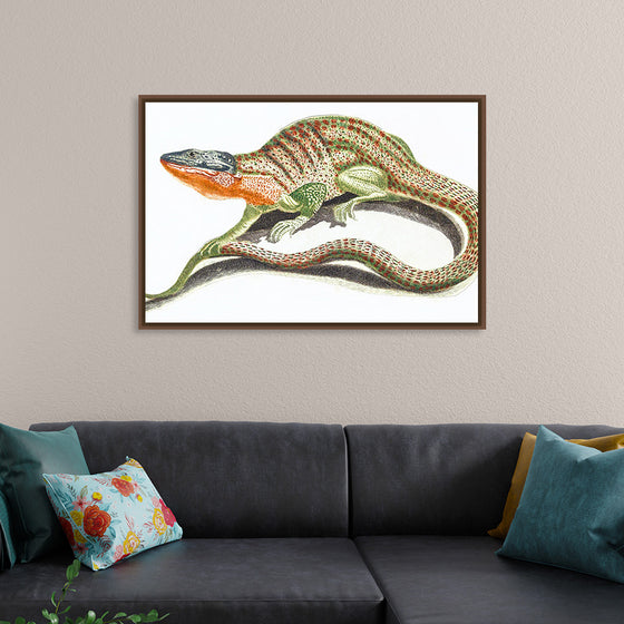 "Reptiles Vintage Art"