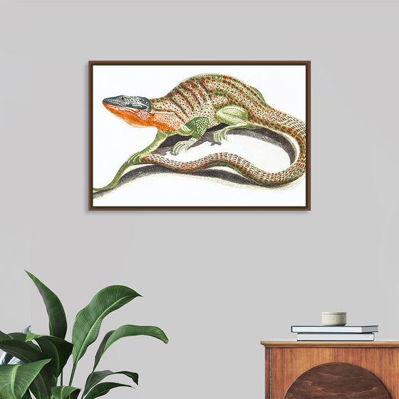 "Reptiles Vintage Art"