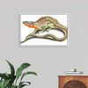 "Reptiles Vintage Art"