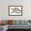 "Reptiles Vintage Art"