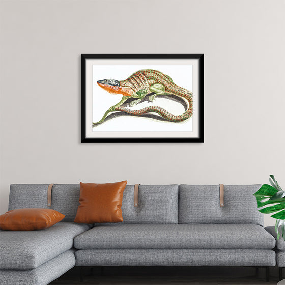 "Reptiles Vintage Art"