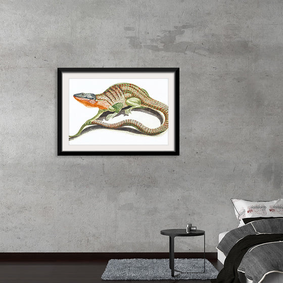 "Reptiles Vintage Art"