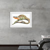 "Reptiles Vintage Art"