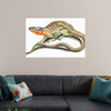 "Reptiles Vintage Art"