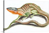 This print is a mesmerizing blend of scientific accuracy and artistic mastery, capturing the vibrant colors and intricate details of a unique reptilian creature. The creature, a fascinating mix between a lizard and a snake, is depicted with meticulous precision, its elongated body covered in scales with patterns combining green and red-orange spots. The head, detailed to show individual scales and textures, is a striking blueish-grey with a bright orange neck.