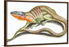 "Reptiles Vintage Art"