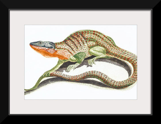 "Reptiles Vintage Art"