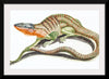 "Reptiles Vintage Art"