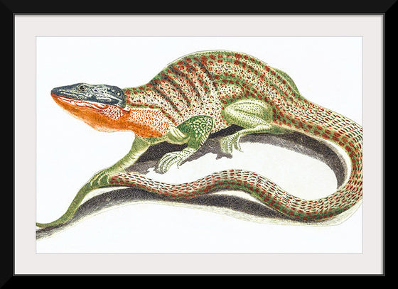 "Reptiles Vintage Art"