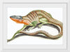 "Reptiles Vintage Art"