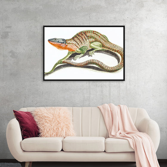 "Reptiles Vintage Art"