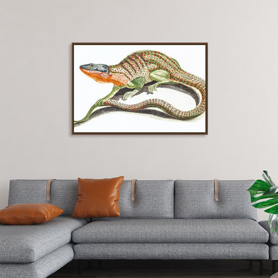 "Reptiles Vintage Art"