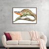 "Reptiles Vintage Art"