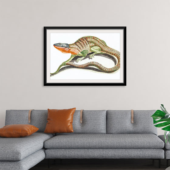 "Reptiles Vintage Art"