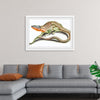 "Reptiles Vintage Art"