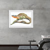 "Reptiles Vintage Art"