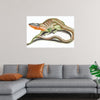 "Reptiles Vintage Art"