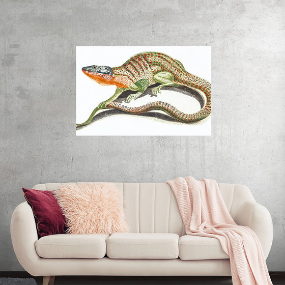 "Reptiles Vintage Art"