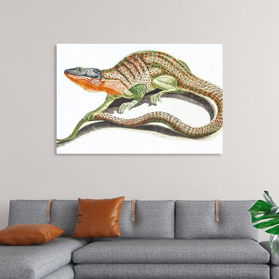 "Reptiles Vintage Art"