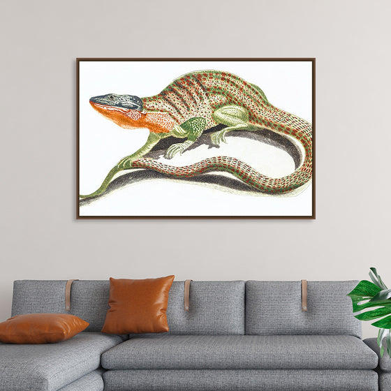 "Reptiles Vintage Art"