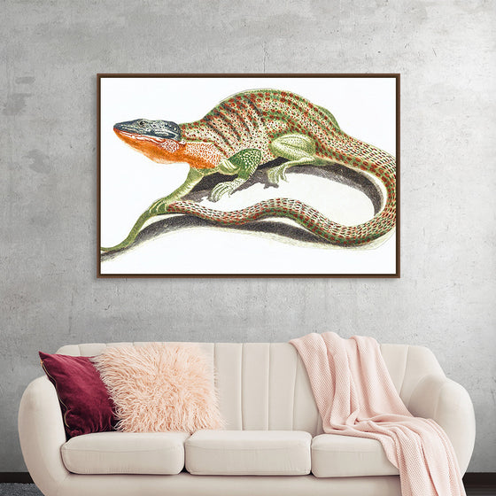 "Reptiles Vintage Art"