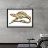 "Reptiles Vintage Art"