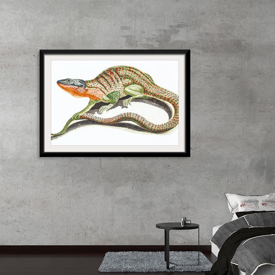 "Reptiles Vintage Art"