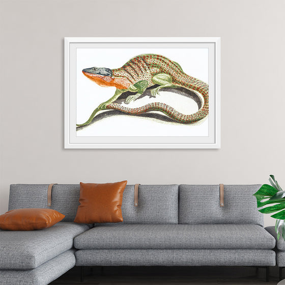 "Reptiles Vintage Art"